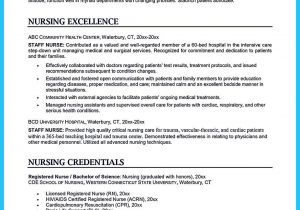 Sample Resume Of Icu Staff Nurse Awesome High Quality Critical Care Nurse Resume Samples, Nursing …