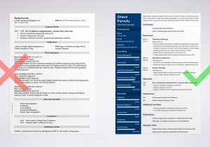 Sample Resume Of It Manager Operations Operations Manager Resume: Examples & Writing Guide