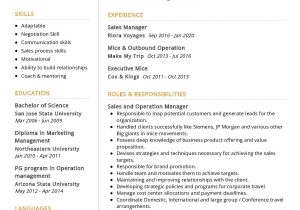 Sample Resume Of It Manager Operations Operations Manager Resume Sample 2022 Writing Tips – Resumekraft