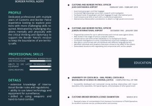 Sample Resume Of Licensed Customs Broker Infographic Resume Samples – Infographicresumesamples