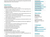 Sample Resume Of People that Habe Been Out Of Wo tourism Consultant Resume Sample 2022 Writing Tips – Resumekraft