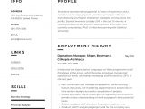 Sample Resume Operations Manager In Manufacturing Operations Manager Resume & Writing Guide  12 Examples Pdf