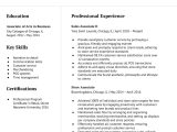 Sample Resume Sales associate Jewelry Store Sales associate Resume Examples In 2022 – Resumebuilder.com