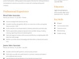 Sample Resume Sales associate Jewelry Store Sales associate Resume Examples In 2022 – Resumebuilder.com