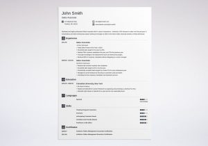 Sample Resume Sales associate No Experience Sales associate Resume [example   Job Description]