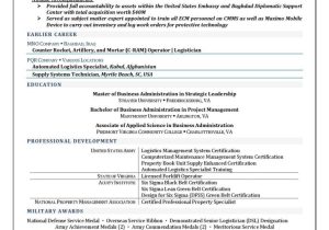 Sample Resume Sales Executive Freight forwarding Logistics Manager Resume Example Resume4dummies