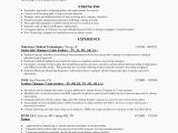 Sample Resume Sales Performance Evaluation Template Entry Level Sales Resume Luxury Ten Things You Probably Sales …