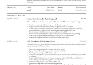 Sample Resume Samples Tractor Trailer Driver Sample 1 Truck Driver Resume & Writing Guide  12 Resume Examples 2019