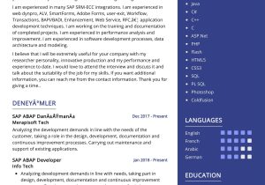 Sample Resume Sap Abap Support Consultant Sap Abap Developer Resume Example 2022 Writing Tips – Resumekraft