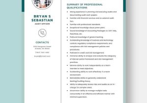 Sample Resume Sap Audit Security and Compliance Director Audit Resume Templates – Design, Free, Download Template.net