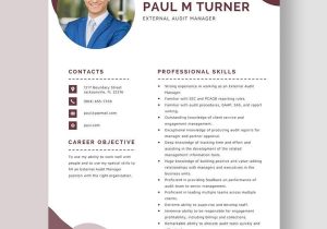 Sample Resume Sap Audit Security and Compliance Director Audit Resume Templates – Design, Free, Download Template.net