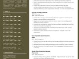 Sample Resume Sap Security and Compliance Director Sample Resume Of Data Protection Officer with Template & Writing …