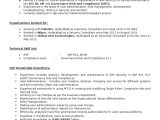 Sample Resume Sap Security and Compliance Director Sap Security Grc Cv Pdf Sap Se Password