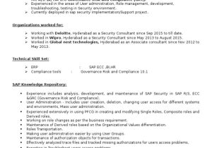 Sample Resume Sap Security and Compliance Director Sap Security Grc Cv Pdf Sap Se Password
