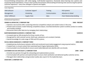 Sample Resume Self Employed Business Owner Business Owner Resume Sample Monster.com