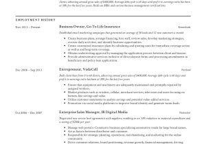 Sample Resume Self Employed Business Owner Small Business Owner Resumes  19 Examples Pdf 2022
