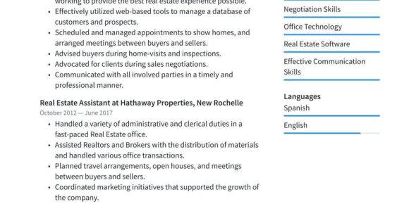Sample Resume Selling Leads to Realotrs Real Estate Agent Resume Examples & Writing Tips 2022 (free Guide)