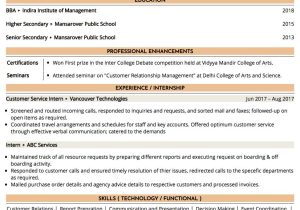 Sample Resume Senior Customer Care Executive Sample Resume Of Customer Service Executive with Template …