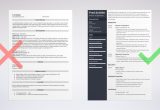Sample Resume Senior Director Of Operations Director Of Operations Resume: Examples and Guide [10lancarrezekiq Tips]