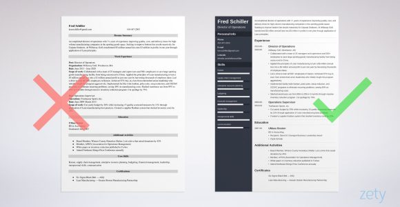 Sample Resume Senior Director Of Operations Director Of Operations Resume: Examples and Guide [10lancarrezekiq Tips]