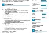 Sample Resume Senior Director Of Operations It Operations Manager Resume Sample 2022 Writing Tips – Resumekraft