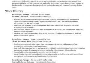 Sample Resume Senior Project Manager Construction Senior Project Manager Resume Generator & Example Rocket Resume
