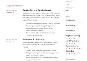 Sample Resume Server In the City Server Resume & Writing Guide   17 Examples (free Downloads) 2020