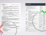 Sample Resume Showing software and Skills top Computer Skills Examples for A Resume [lancarrezekiqsoftware List]