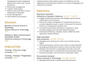 Sample Resume Skills for Flight attendant Flight attendant Resume Sample 2022 Writing Tips – Resumekraft