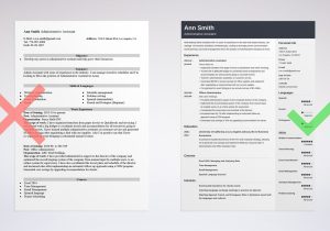 Sample Resume Skills for Office assistant Best Administrative assistant Resume Examples 2022