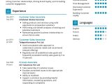 Sample Resume Skills for Sales associate Sales associate Cv Sample 2022 Writing Tips – Resumekraft