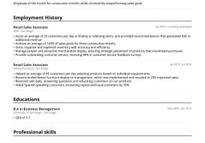 Sample Resume Skills for Sales associate Sales associate Resume Example & Writing Guide [2022] – Jofibo