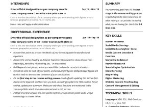 Sample Resume Skills On One Line Best Free Resume Templates with Examples [2020]