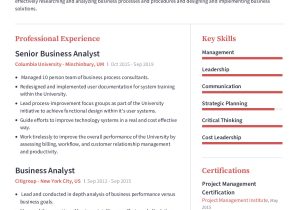 Sample Resume Summary for Business Analyst Business Analyst Resume Example with Pre-written Content Sample …