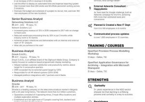 Sample Resume Summary for Business Analyst Business Analyst Resume Examples, Samples, and Tips
