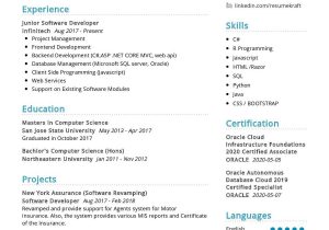 Sample Resume Summary for software Developer Junior software Developer Resume Sample 2021 Writing Tips …
