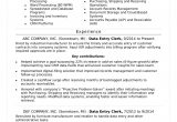Sample Resume Summary Of Qualifications Examples Data Entry Resume Sample Monster.com