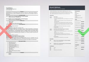 Sample Resume Teaching English as A Second Language Esl Teacher Resume Examples (esl Teaching On Resumes)