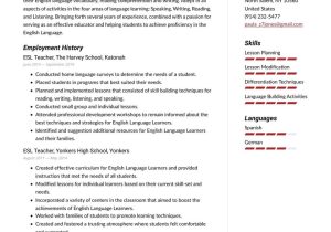 Sample Resume Teaching English as A Second Language Esl Teacher Resume Examples & Writing Tips 2021 (free Guide)