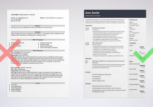 Sample Resume Templates for Administrative assistant Best Administrative assistant Resume Examples 2021