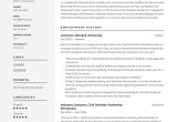 Sample Resume to Apply for Lecturer Post Lecturer Resume & Writing Guide  18 Free Examples 2020