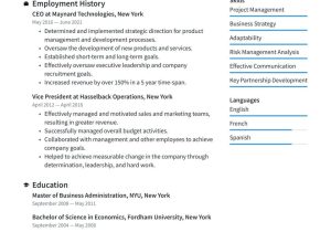 Sample Resume with Achievements Business Operations Ceo Resume Examples & Writing Tips 2022 (free Guide) Â· Resume.io