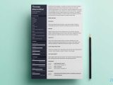 Sample Resume with Action Skill Set Functional Resume: Examples & Skills Based Templates