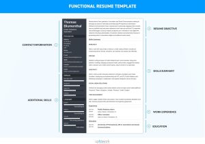 Sample Resume with Application Type Details the 3 Best Resume formats to Use In 2022 (examples)