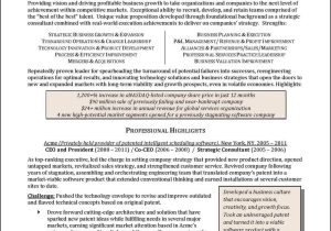 Sample Resume with Awards and Accomplishments National Award-winning Executive Resume Examples, Executive Cover …