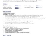 Sample Resume with Big 4 Tax Internexperience Transfer Pricing Consultant Resume Sample 2022 Writing Tips …