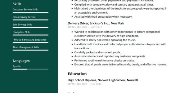 Sample Resume with Bike Mechanic Experience Delivery Driver Resume Examples & Writing Tips 2022 (free Guide)