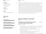 Sample Resume with Branding Statement Teacher College Professor Resume Example & Writing Guide Â· Resume.io