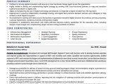 Sample Resume with Comp Tia Security Credentials Cio Resume Examples & Template (with Job Winning Tips)