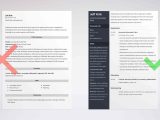 Sample Resume with Computer Skills Section 50lancarrezekiq Essential Computer Skills for Your Cv